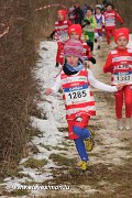 IMG_3617.jpg