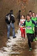IMG_3716.jpg