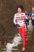 IMG_3720.jpg