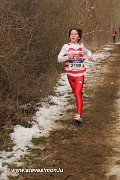 IMG_3724.jpg