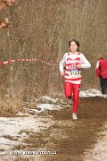 IMG_3730.jpg