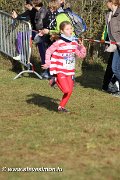 IMG_7040.jpg