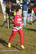 IMG_7045.jpg