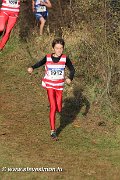 IMG_7115.jpg