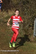 IMG_7116.jpg
