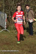 IMG_7117.jpg