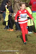 IMG_7118.jpg