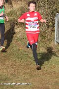 IMG_7119.jpg