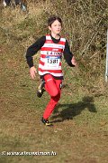 IMG_7123.jpg