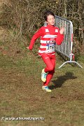 IMG_7124.jpg