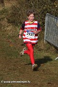 IMG_7126.jpg