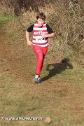 IMG_7130.jpg
