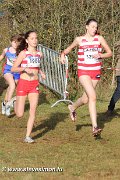 IMG_7139.jpg