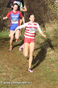 IMG_7141.jpg