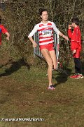 IMG_7142.jpg