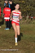IMG_7145.jpg