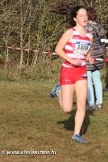 IMG_7147.jpg