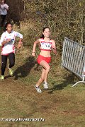 IMG_7149.jpg