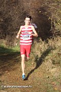 IMG_7172.jpg
