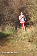 IMG_7173.jpg