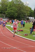 IMG_8324.jpg