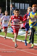 IMG_8352.jpg