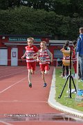 IMG_8368.jpg