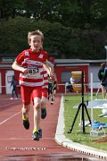IMG_8381.jpg