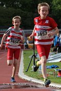 IMG_8382.jpg