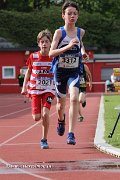 IMG_8383.jpg