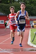 IMG_8384.jpg
