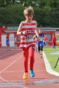 IMG_8386.jpg