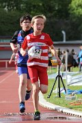 IMG_8387.jpg