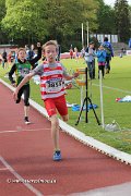 IMG_8402.jpg