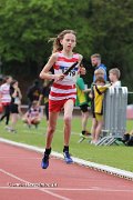 IMG_8447.jpg