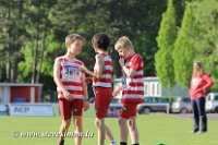 IMG_8480.jpg