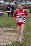 IMG_0981.jpg