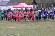 IMG_0990.jpg