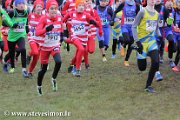 IMG_0993.jpg