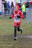 IMG_0998.jpg