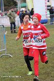 IMG_1001.jpg