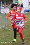 IMG_1002.jpg