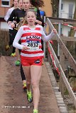 IMG_1029.jpg
