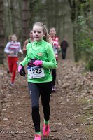 IMG_5993.jpg