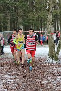 IMG_0746.jpg