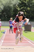 IMG_2407.jpg
