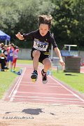 IMG_2415.jpg