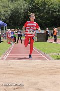 IMG_2462.jpg