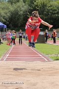IMG_2464.jpg