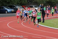 IMG_2705.jpg
